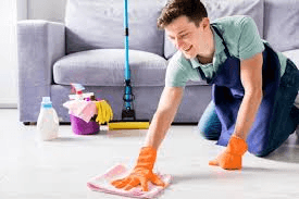 Living Room Cleaning